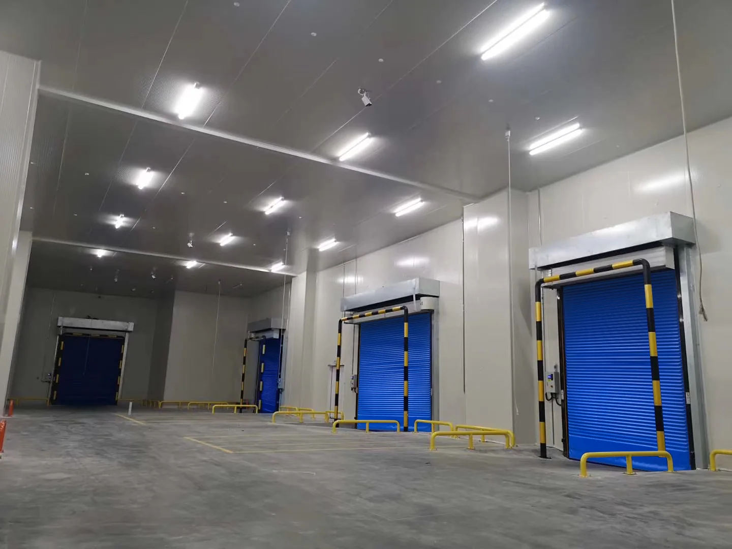 Cold Storage High-Speed Door installation view